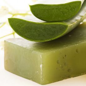 Jabón de Aloe Vera Calmante 🌿